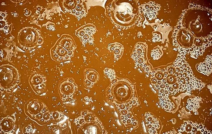 Fermentation Chouchenn d'Armor